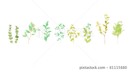 A set of vegetation illustrations drawn with a watercolor touch. Watercolor. 81115880