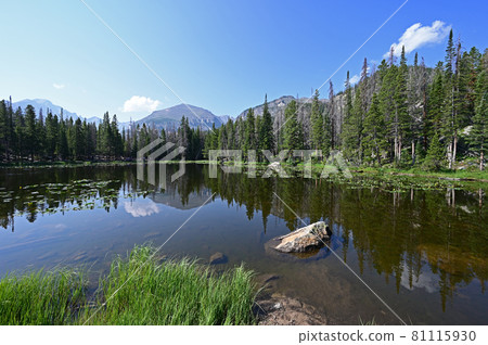 Nymph Lake in Rocky Mountain National Park, Colorado in summer. Nymph Lake in Rocky Mountain National Park, Colorado in summer. 81115930