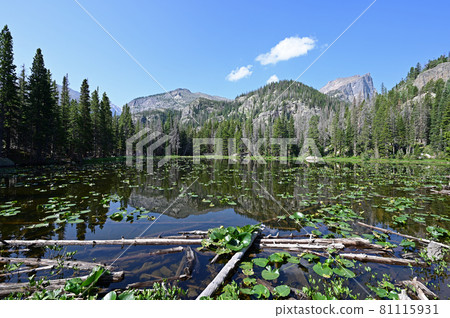 Nymph Lake in Rocky Mountain National Park, Colorado in summer. Nymph Lake in Rocky Mountain National Park, Colorado in summer. 81115931