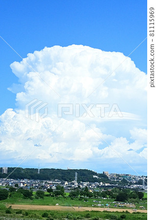 A flashy cumulonimbus cloud has sprung up 81115969