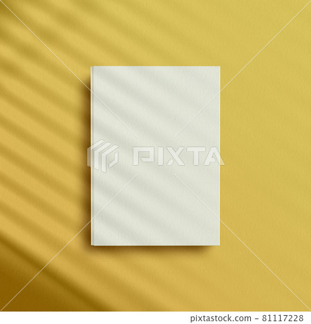 自然陰影模型 81117228