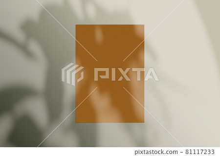 Natural Shadow Mockup 81117233