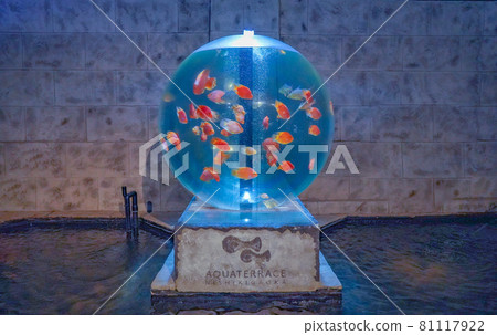 Fantastic display Sendai City, Miyagi Prefecture Fantastic display Sendai City, Miyagi Prefecture 81117922