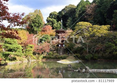 Autumn leaves in Kyoto Joruri-ji Three-storied Pagoda Autumn leaves in Kyoto Joruri-ji Three-storied Pagoda 81117989