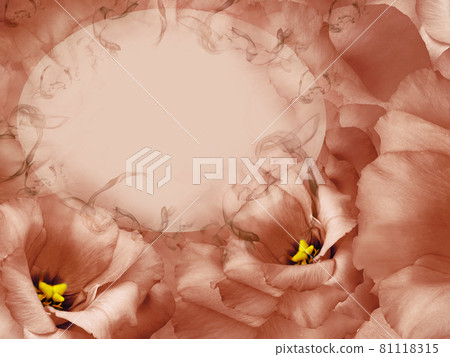 Floral red background. Flowers and petals of a red roses. Place for text. Close-up. Nature. Floral red background. Flowers and petals of a red roses. Place for text. Close-up. Nature. 81118315