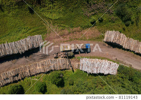 The deforestation of Siberia: economic and environmental problems in russian forest management. The deforestation of Siberia: economic and environmental problems in russian forest management. 81119143