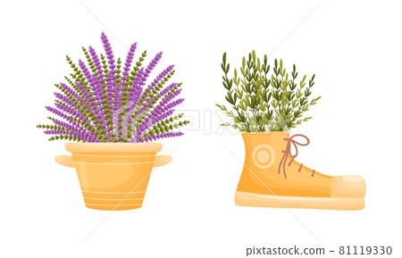 Garden potted herbs in pots of different shapes set vector illustration Garden potted herbs in pots of different shapes set vector illustration 81119330