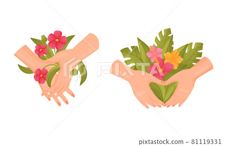 Set of female hands holding retro paper photo frame and exotic tropical flowers vector illustration isolated on white background Set of female hands holding retro paper photo frame and exotic tropical flowers vector illustration isolated on white background 81119331