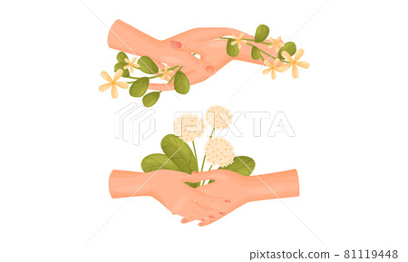 Couple holding hands with white flowers set vector illustration 81119448