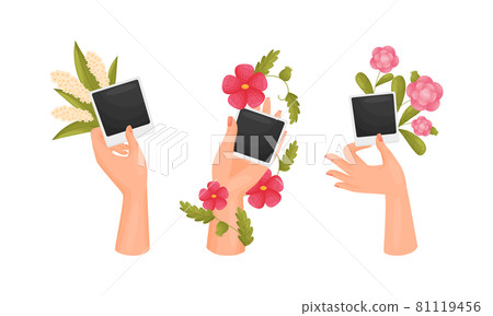 Female hands holding retro paper photo frame and flowers set vector illustration Female hands holding retro paper photo frame and flowers set vector illustration 81119456