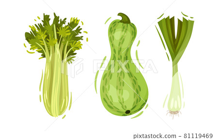Green vegetables set. Celery, zucchini, green onion organic vegetarian food vector illustration Green vegetables set. Celery, zucchini, green onion organic vegetarian food vector illustration 81119469