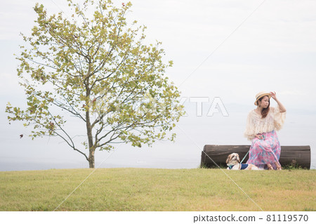 Shih tzu Shih tzu 81119570