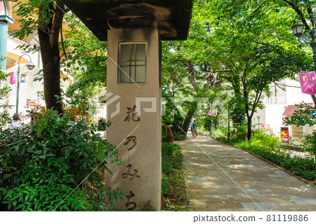 花Michi 花Michi 81119886