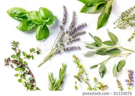 Fresh herbs, shot from above on a white background. Bunches of herbs 81120078