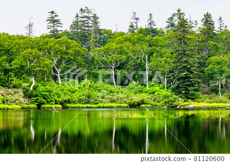 北海道協和町夏季新仙沼 81120600