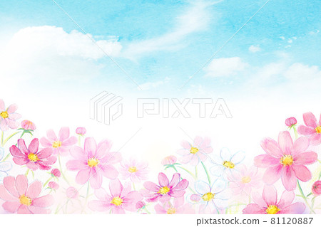 Rainbow and cosmos field watercolor illustration 81120887