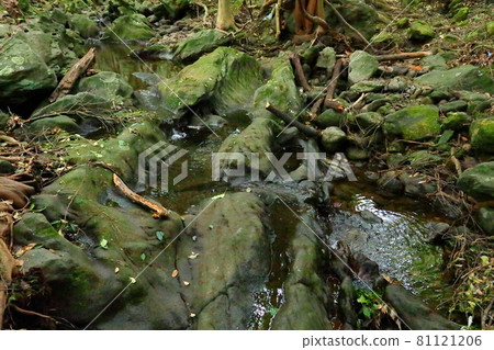 ,Dulleongmoru,Oreum,Dongsan,,In the forest,In the mountains,Hiking,Nature,Ecology,Environment, 81121206