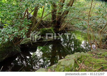 ,Dulleongmoru,Oreum,Dongsan,,In the forest,In the mountains,Hiking,Nature,Ecology,Environment, 81121207