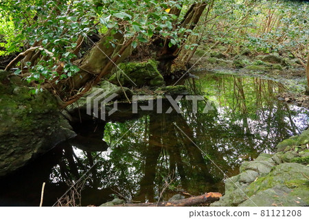 , Deulleongmoru, Oreum, 山,, 森林, 山, 遠足, 自然, 生態, 環境, , Deulleongmoru, Oreum, 山,, 森林, 山, 遠足, 自然, 生態, 環境, 81121208