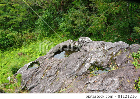 ,Dulleongmoru,Oreum,Dongsan,,In the forest,In the mountains,Hiking,Nature,Ecology,Environment, 81121210