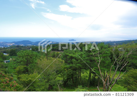 , Deulleongmoru, Oreum, Dongsan,, Forest, Mountain, Hiking, Nature, Ecology, Environment, View, Jeju Island, Scenery 81121309