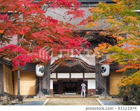 裝飾寺廟的紅色和黃色 高野山的紅葉 裝飾寺廟的紅色和黃色 高野山的紅葉 81121974