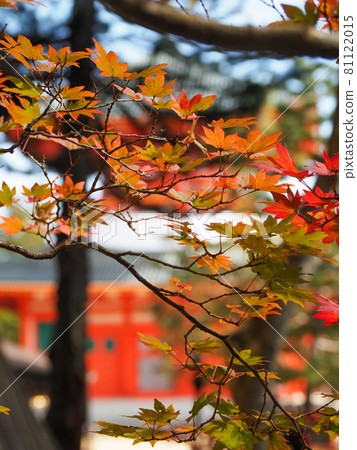 裝飾寺廟的紅色和黃色 高野山的紅葉 81122015