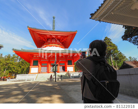 裝飾寺廟的紅色和黃色 高野山的紅葉 81122018