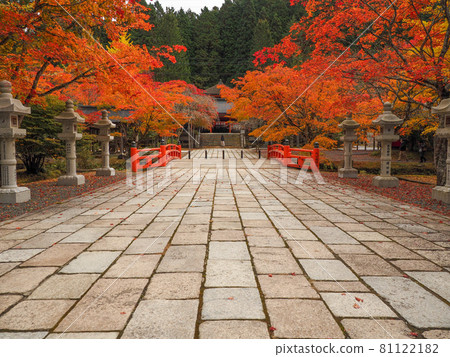 裝飾寺廟的紅色和黃色 高野山的紅葉 裝飾寺廟的紅色和黃色 高野山的紅葉 81122182