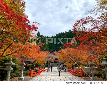 裝飾寺廟的紅色和黃色 高野山的紅葉 裝飾寺廟的紅色和黃色 高野山的紅葉 81122185