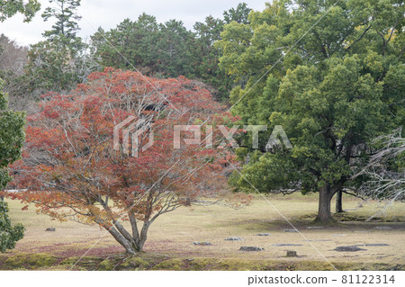 秋葉與東大寺禮堂遺跡 秋葉與東大寺禮堂遺跡 81122314