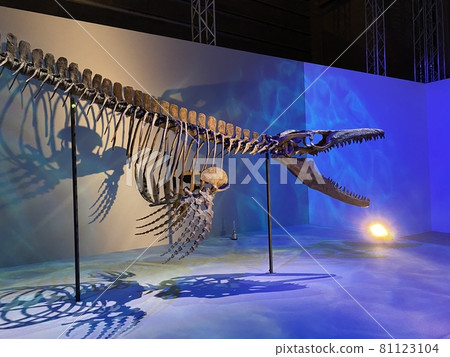一個有孩子的強大恐龍展覽 81123104