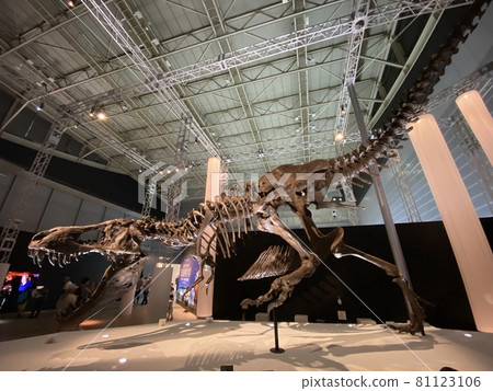 一個有孩子的強大恐龍展覽 81123106