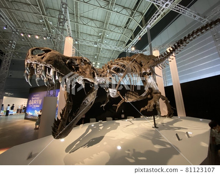 一個有孩子的強大恐龍展覽 81123107