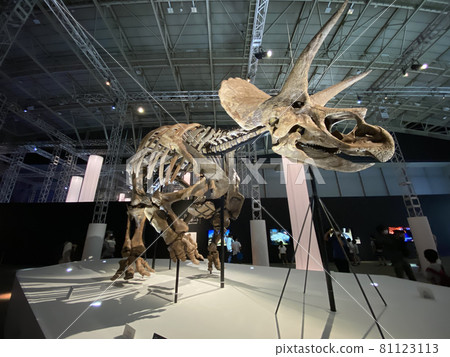 一個有孩子的強大恐龍展覽 81123113