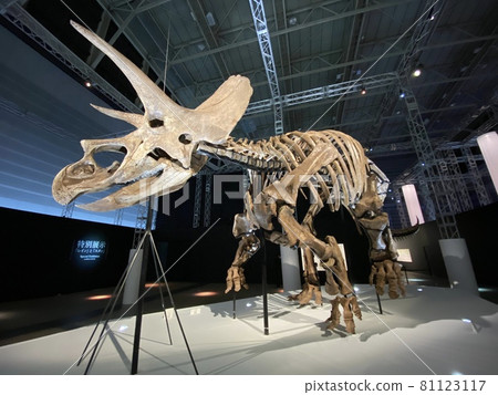 一個有孩子的強大恐龍展覽 81123117