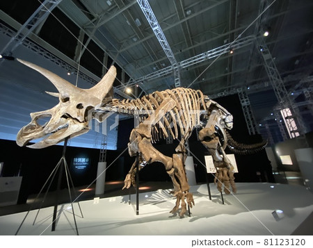 A powerful dinosaur exhibition with children 81123120