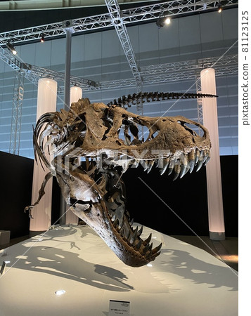 一個有孩子的強大恐龍展覽 81123125