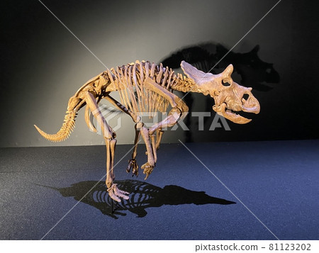 A powerful dinosaur exhibition with children 81123202