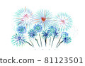 Fireworks on a white background on holiday 81123501
