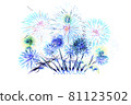 Fireworks on a white background on holiday 81123502