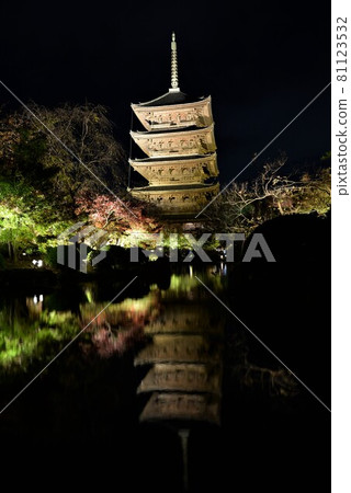 京都夜景東寺秋葉與五層寶塔 京都夜景東寺秋葉與五層寶塔 81123532