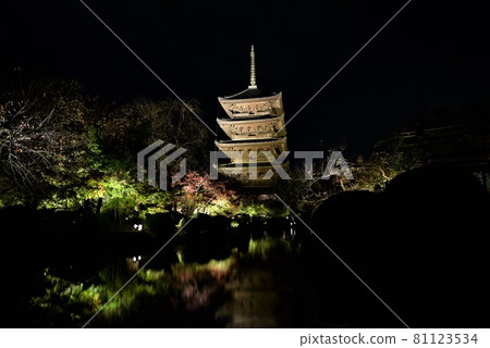 Kyoto night view Toji autumn leaves and five-storied pagoda 81123534