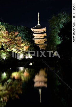 京都夜景東寺秋葉與五層寶塔 京都夜景東寺秋葉與五層寶塔 81123558