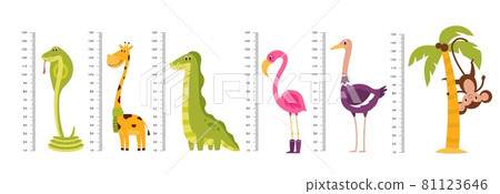 Growth ruler. Kids scale measuring with funny tall or long wild animals and birds. Cute giraffe and dinosaur. Pink flamingo or monkey on palm. Vector height measurement equipment set 81123646
