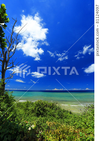 The beautiful sea of Yomitan Village, Okinawa The beautiful sea of Yomitan Village, Okinawa 81124097
