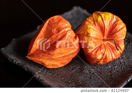 Fruit of Hozuki 81124897