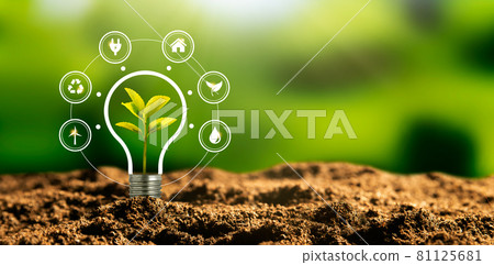 Sustainable energy sources concept Sustainable energy sources concept 81125681