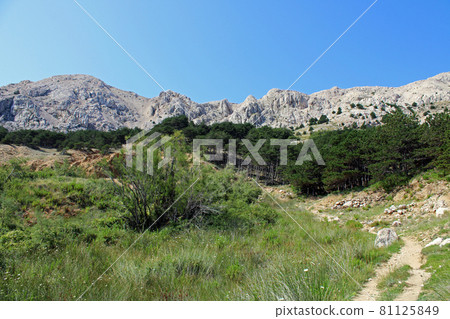 Baska, island Krk, phenomenal Zarok - sandy area, Adriatic coast, Croatia 81125849