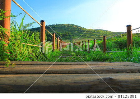 Baekyak Oreum, Dongsan, rural area, plain, grassland, nature, scenery, Baekyak Oreum, Dongsan, rural area, plain, grassland, nature, scenery, 81125891